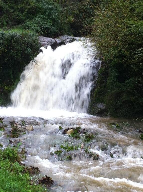 Agriturismo I Chiosi Villa Comano  Oda fotoğraf